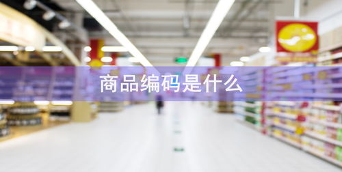 商品和服务税收分类编码